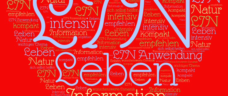 Feedback zu einer LIN Sitzung im Institut für Energiearbeit