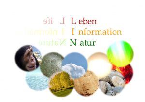 Ausbildung zum LIN Anwender LIN - Schnellheilung Jana Thann, LIN Anwendungen