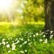 Feedback zu der Veranstaltung Meditation im Park