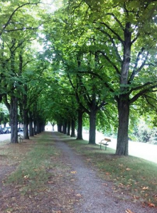 Trauer und Abschied