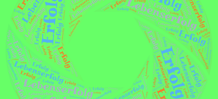 Lebenserfolg