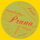 Prana Selbstanwendung